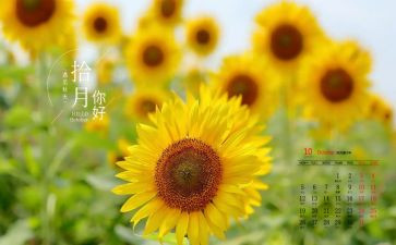 10月1日的作文6篇
