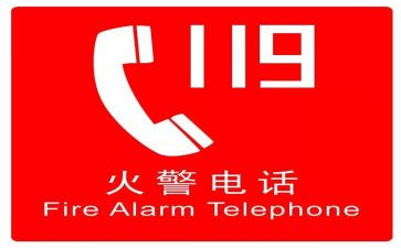 小学119消防日讲话稿8篇
