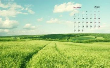 12月工作心得体会7篇