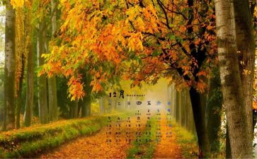 2024年12月个人总结7篇