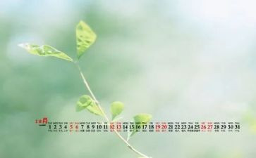 幼儿工作总结12月总结8篇