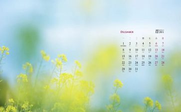 2024年12月英语b级作文通用6篇