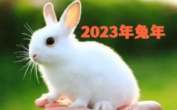 珠宝销售2023工作计划5篇