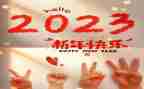 2023年度高中教师工作总结优秀5篇