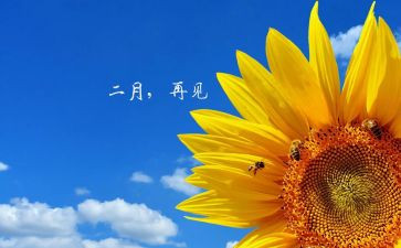 新员工入职2月工作总结8篇