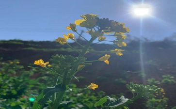 3月销售工作总结推荐8篇