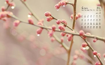 大班4月工作计划7篇