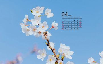4月份工作总结报告5篇