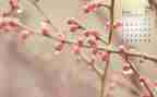 大班4月工作计划7篇