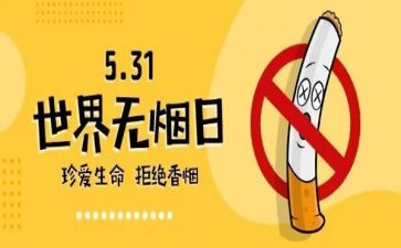 531工作计划最新5篇