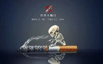 531工作计划精选8篇