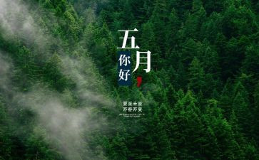 工作总结5月总结通用5篇