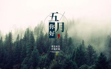 工作总结5月总结推荐8篇