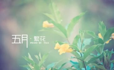 5月主题活动方案7篇