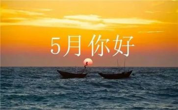5月教师工作总结8篇