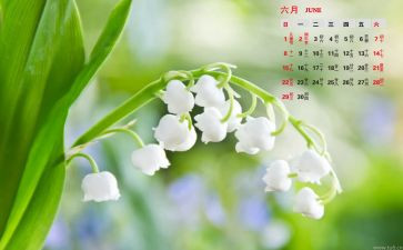 2024年6月份工作计划8篇