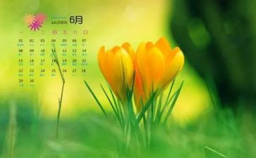 6月安全生产月活动总结优秀8篇