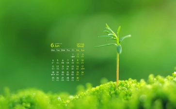6月安全生产月活动总结通用6篇