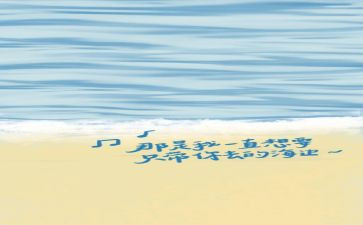8月教师总结5篇
