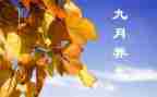 中班月计划9月工作计划6篇