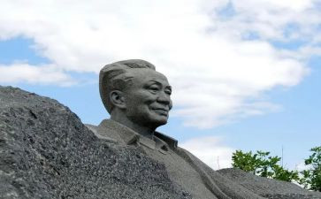 艾青诗选树的读后感通用7篇