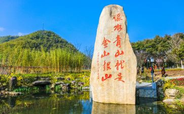 安吉游戏观看心得体会6篇