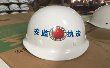 镇安监工作总结优秀5篇