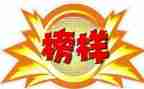学榜样7心得体会优秀8篇