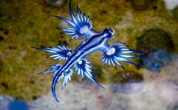高中生物实验室工作计划6篇