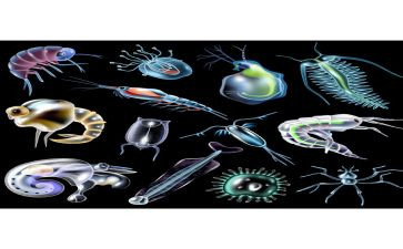 高中生物教师工作总结7篇