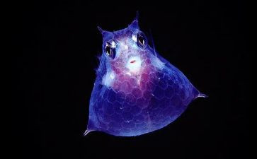 生物备课组教学计划5篇