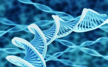 生物教案模板精选7篇