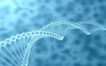 生物教师上学期工作计划通用7篇