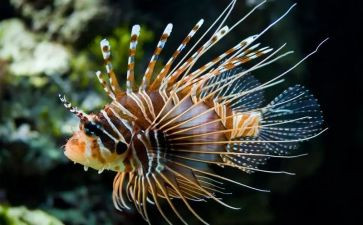 高中生物实验室工作计划5篇