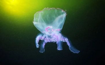 生物教师月工作总结参考8篇