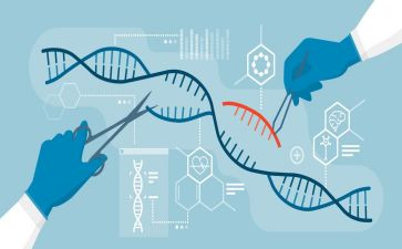 生物教师上学期工作计划8篇