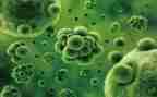 表里的生物教学反思5篇