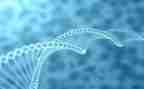 生物教师上学期工作计划通用7篇