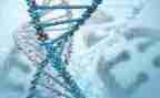 生物柜工作总结参考5篇
