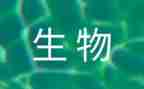 初中生物工作总结推荐6篇