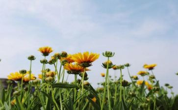 痛和爱伴随成长作文6篇