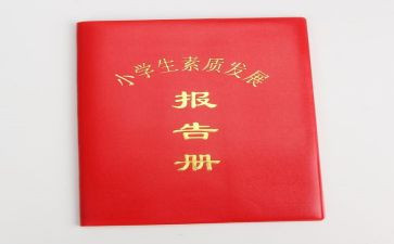 教师报告册年度总结8篇