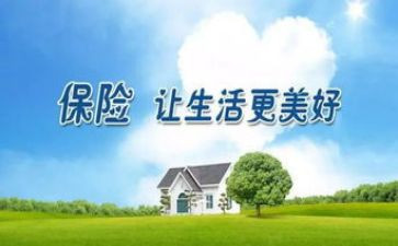 保险客服年终工作总结6篇