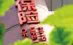 保险类工作总结精选5篇