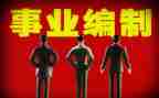 编制类工作总结8篇