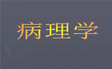 病理科感染管理工作计划5篇