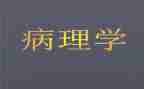 病理科感染管理工作计划5篇