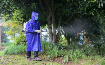 .病媒生物防制工作计划6篇