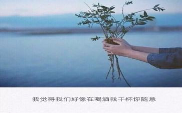 不期而遇的美作文7篇