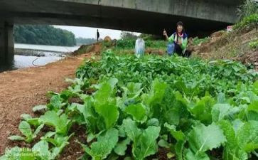 湘菜招商方案模板6篇
